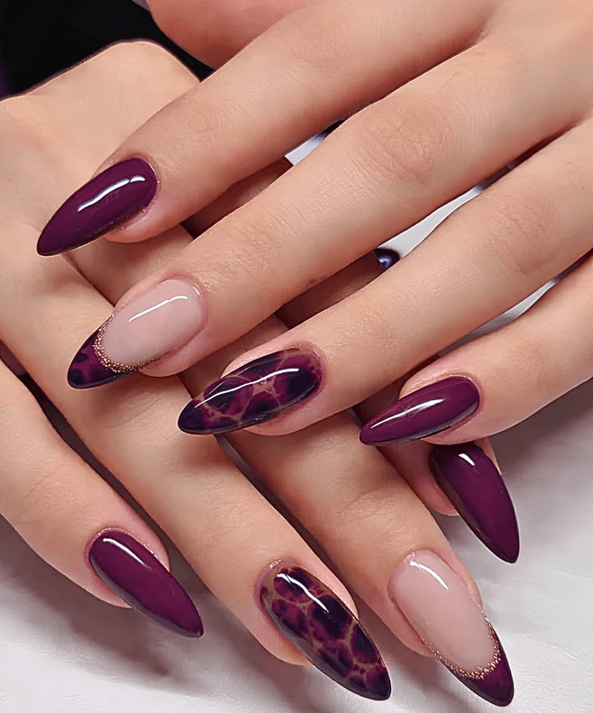 Elegant — variation 6
